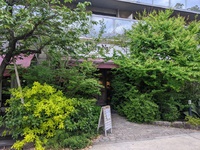 PXL_20250501_015459817.jpg